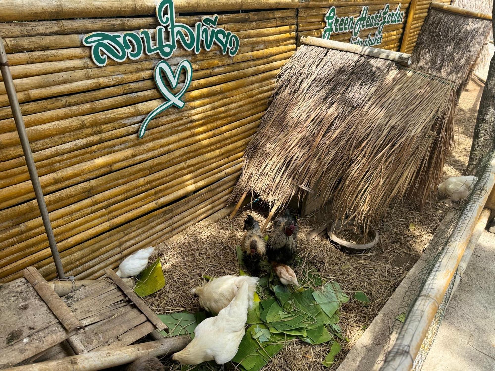 Greenheart Garden View Camp Phuket 카타 비치 외부 사진