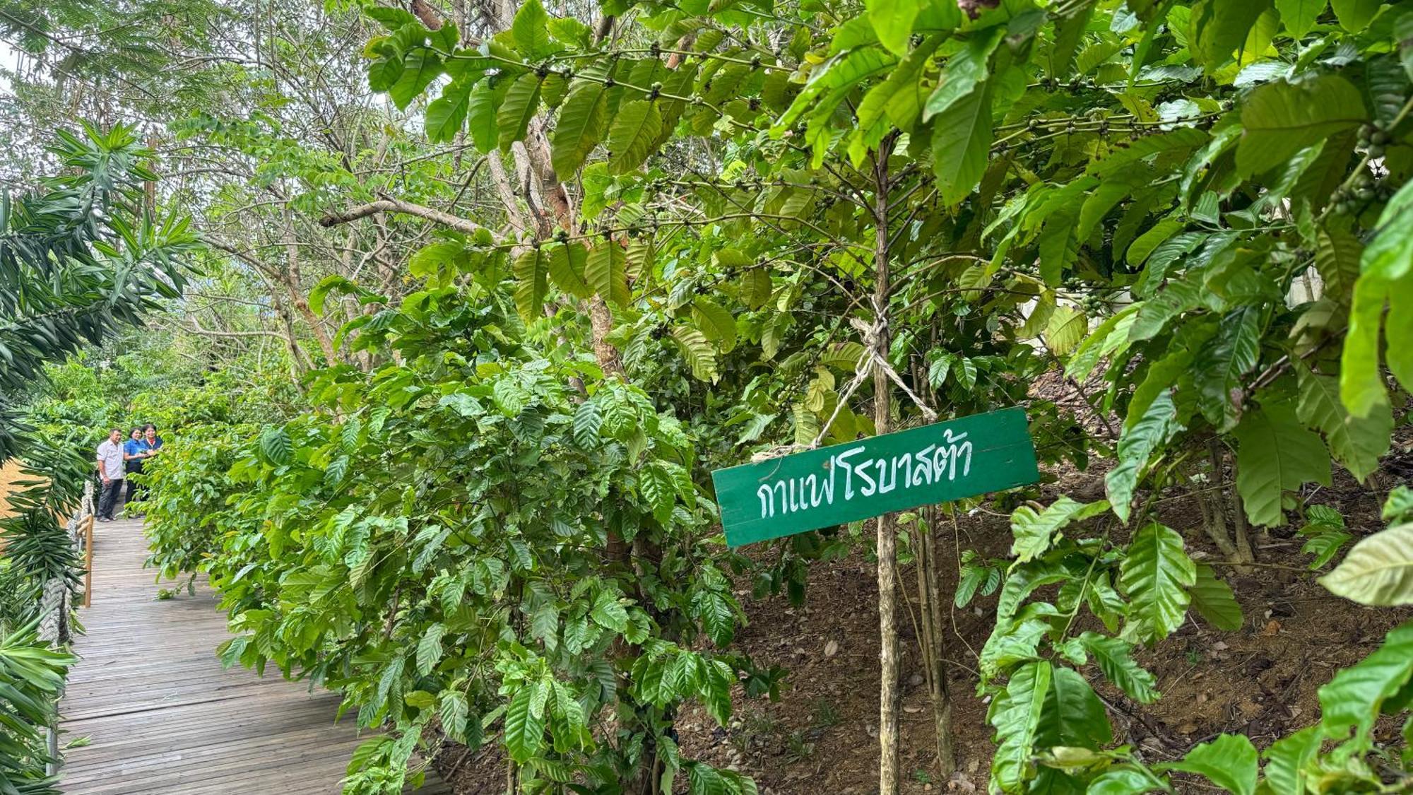 Greenheart Garden View Camp Phuket 카타 비치 외부 사진